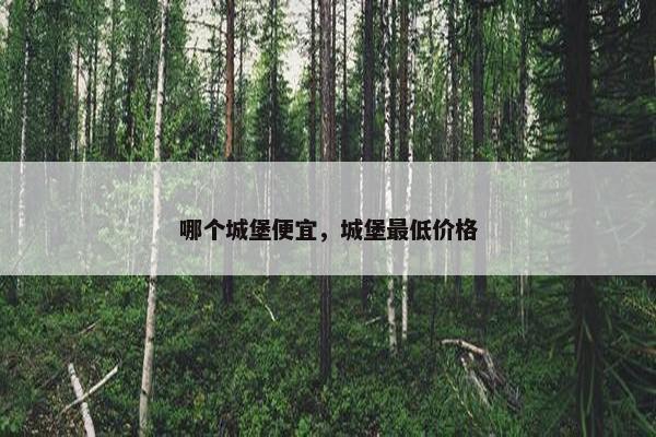 哪个城堡便宜，城堡最低价格