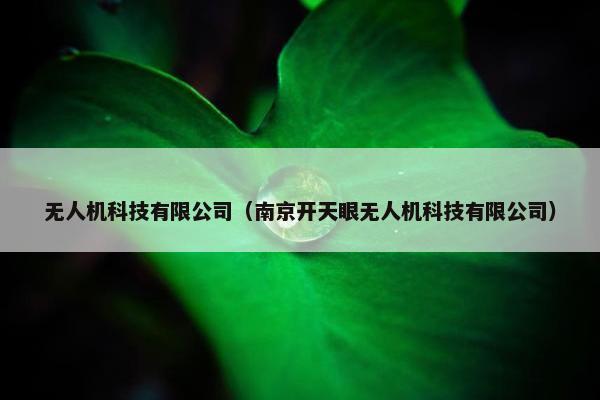 无人机科技有限公司（南京开天眼无人机科技有限公司）