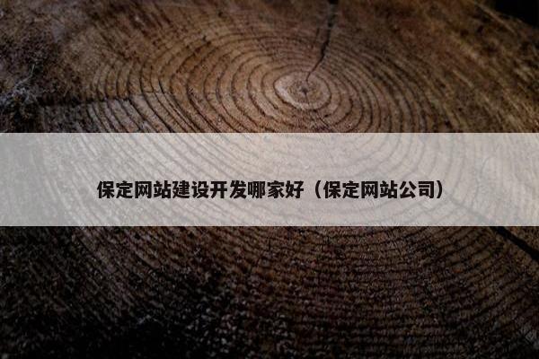 保定网站建设开发哪家好（保定网站公司）