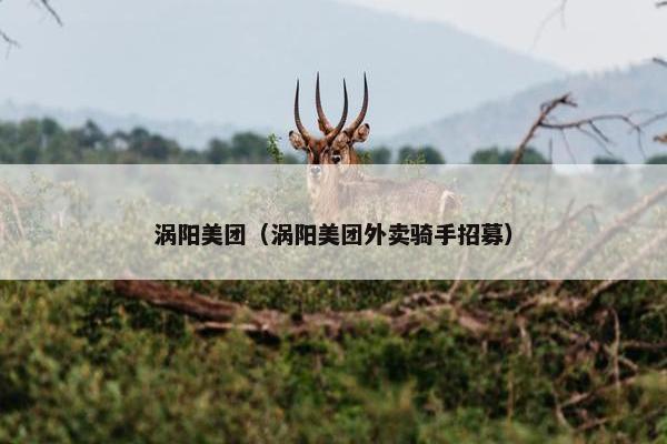 涡阳美团（涡阳美团外卖骑手招募）