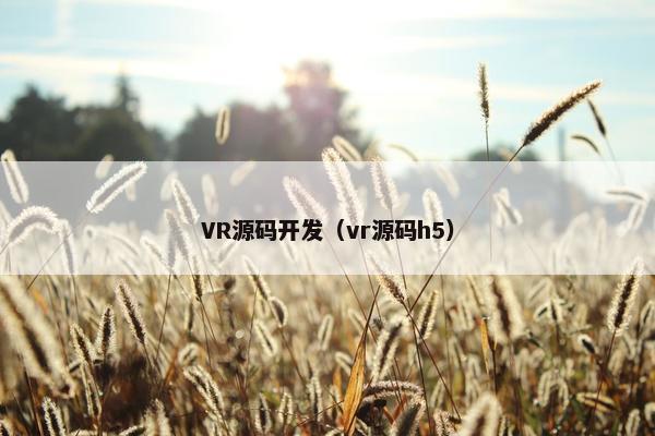 VR源码开发（vr源码h5）