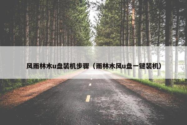 风雨林木u盘装机步骤（雨林木风u盘一键装机）