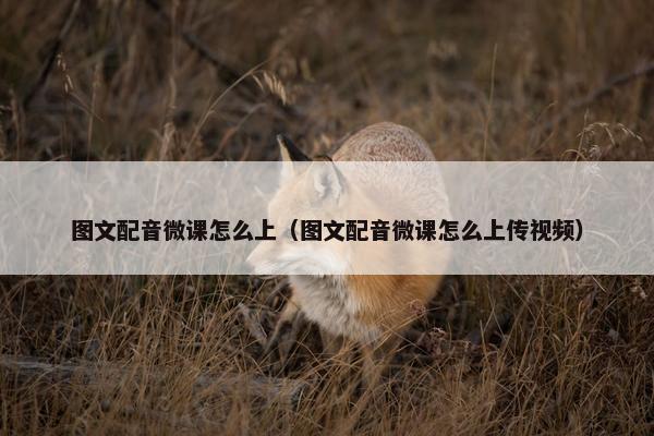 图文配音微课怎么上（图文配音微课怎么上传视频）