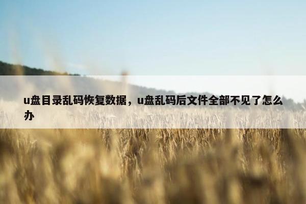 u盘目录乱码恢复数据，u盘乱码后文件全部不见了怎么办
