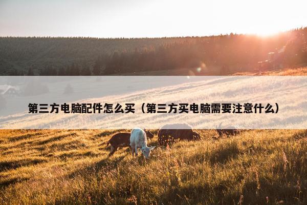 第三方电脑配件怎么买（第三方买电脑需要注意什么）