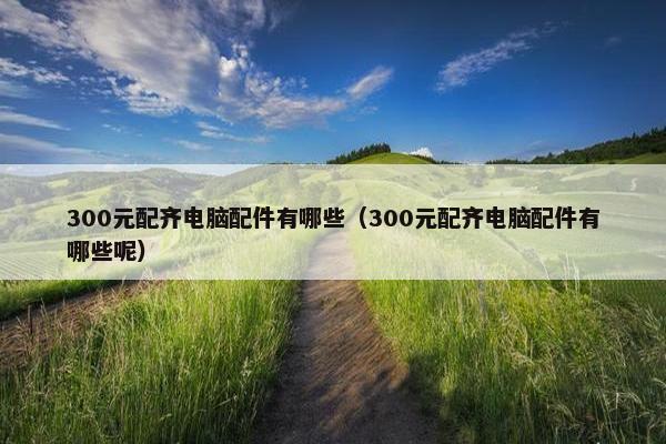 300元配齐电脑配件有哪些（300元配齐电脑配件有哪些呢）