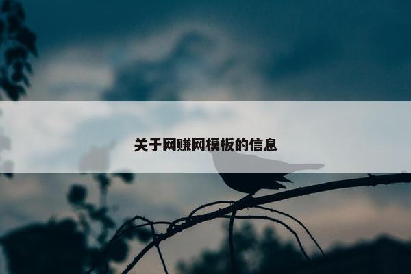 关于网赚网模板的信息