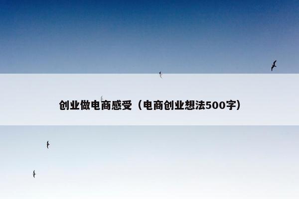 创业做电商感受（电商创业想法500字）