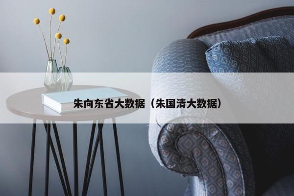 朱向东省大数据（朱国清大数据）