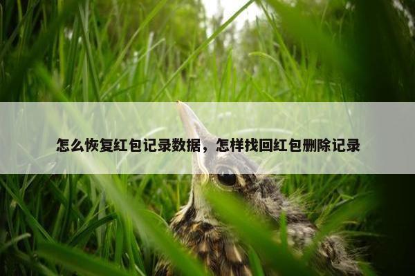 怎么恢复红包记录数据，怎样找回红包删除记录