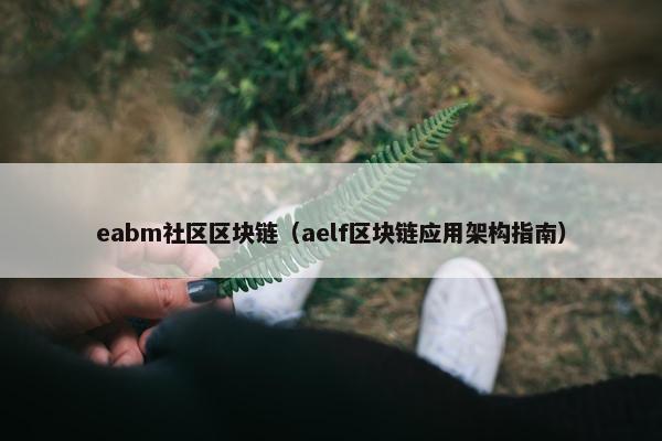 eabm社区区块链（aelf区块链应用架构指南）