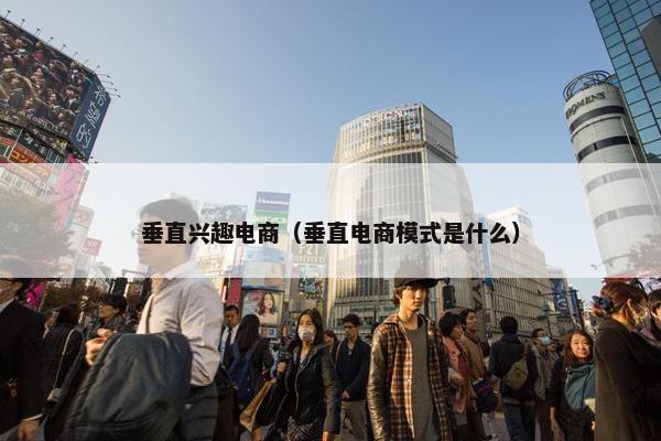 垂直兴趣电商（垂直电商模式是什么）
