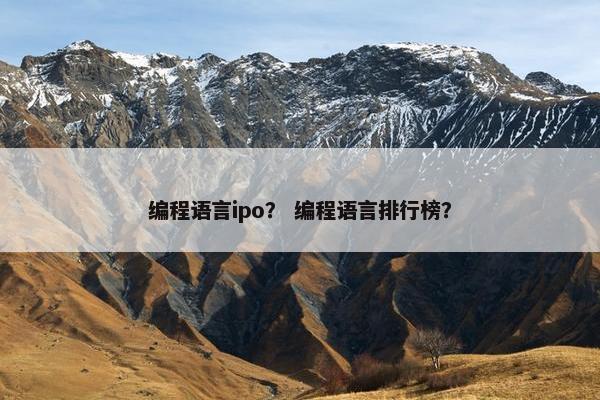 编程语言ipo？ 编程语言排行榜？