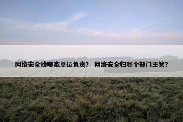 网络安全找哪家单位负责？ 网络安全归哪个部门主管？