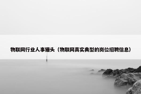 物联网行业人事猎头（物联网真实典型的岗位招聘信息）