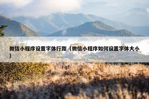 微信小程序设置字体行距（微信小程序如何设置字体大小）