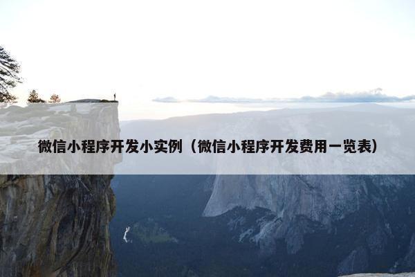 微信小程序开发小实例（微信小程序开发费用一览表）