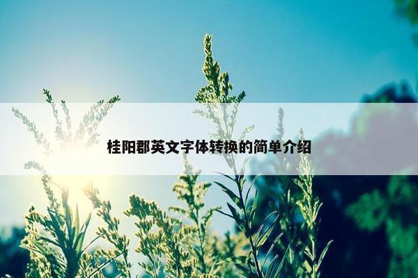 桂阳郡英文字体转换的简单介绍