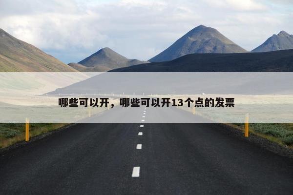 哪些可以开，哪些可以开13个点的发票