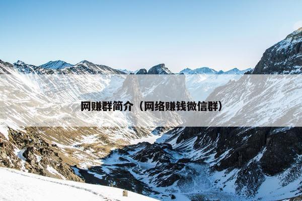 网赚群简介（网络赚钱微信群）