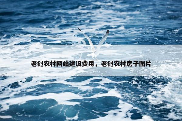老挝农村网站建设费用，老挝农村房子图片