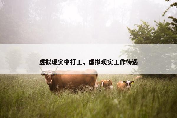 虚拟现实中打工，虚拟现实工作待遇