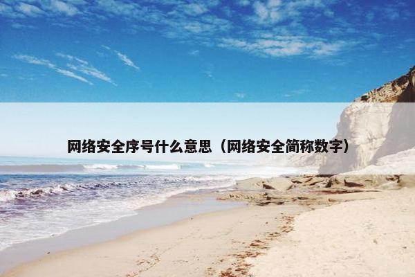 网络安全序号什么意思（网络安全简称数字）