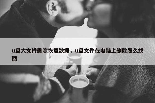 u盘大文件删除恢复数据，u盘文件在电脑上删除怎么找回
