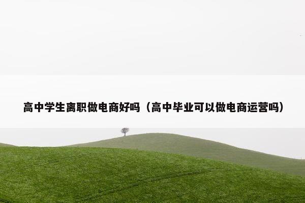 高中学生离职做电商好吗（高中毕业可以做电商运营吗）