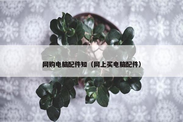 网购电脑配件知（网上买电脑配件）