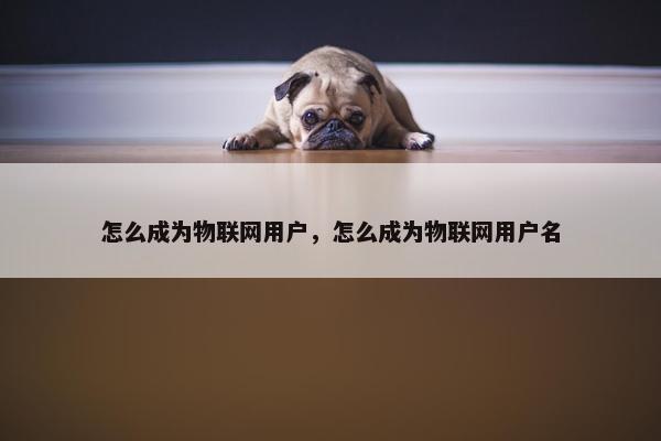 怎么成为物联网用户，怎么成为物联网用户名