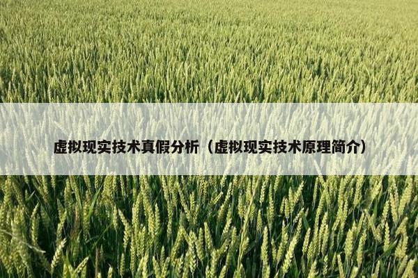 虚拟现实技术真假分析（虚拟现实技术原理简介）