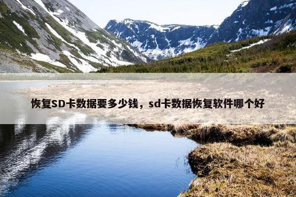 恢复SD卡数据要多少钱，sd卡数据恢复软件哪个好