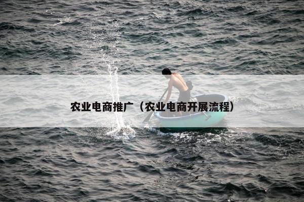 农业电商推广（农业电商开展流程）