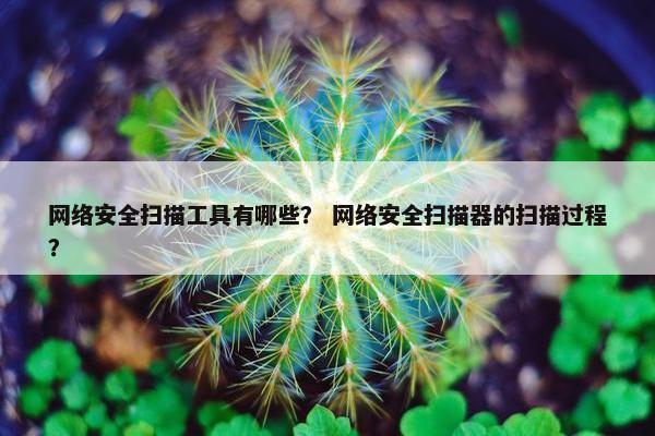 网络安全扫描工具有哪些？ 网络安全扫描器的扫描过程？
