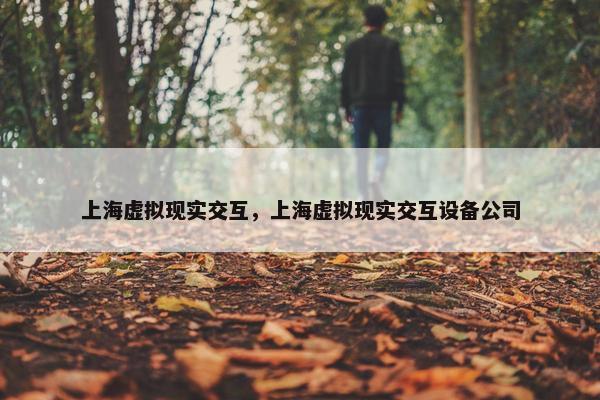 上海虚拟现实交互，上海虚拟现实交互设备公司