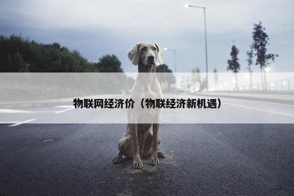 物联网经济价（物联经济新机遇）