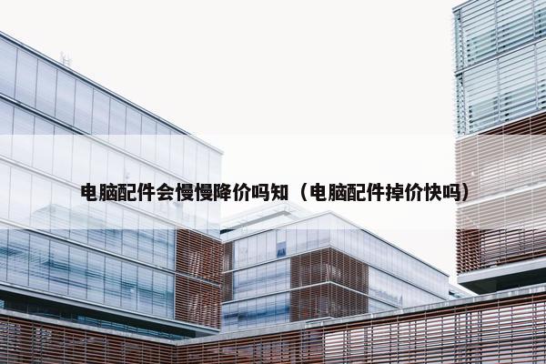 电脑配件会慢慢降价吗知（电脑配件掉价快吗）