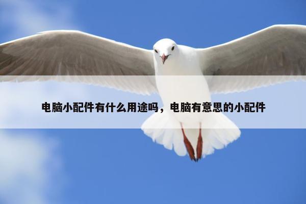 电脑小配件有什么用途吗，电脑有意思的小配件