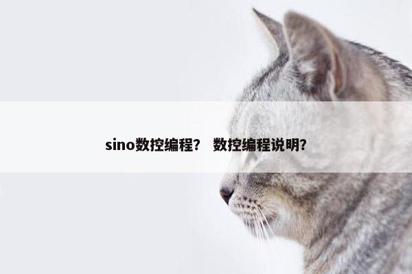 sino数控编程？ 数控编程说明？
