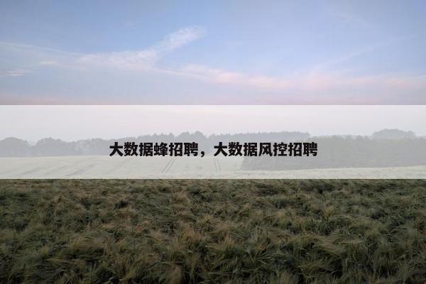 大数据蜂招聘，大数据风控招聘