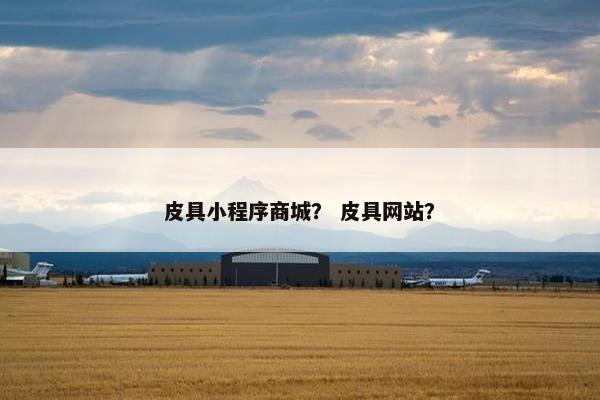 皮具小程序商城？ 皮具网站？