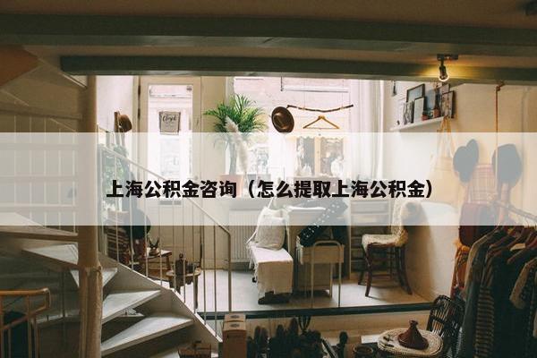 上海公积金咨询（怎么提取上海公积金）