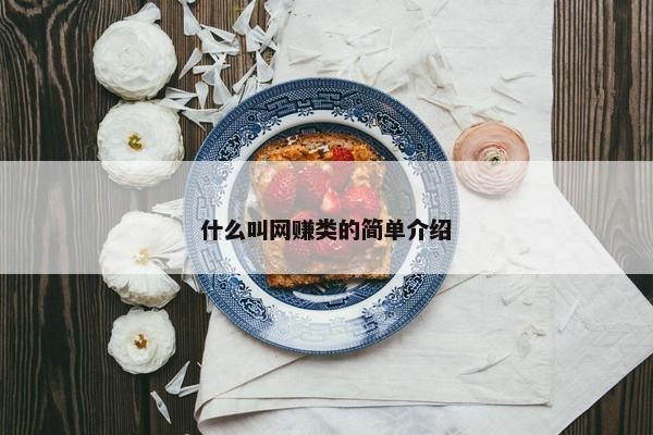 什么叫网赚类的简单介绍