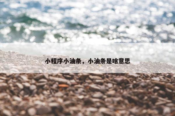 小程序小油条，小油条是啥意思