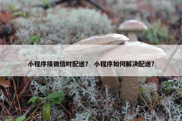 小程序接微信时配送？ 小程序如何解决配送？