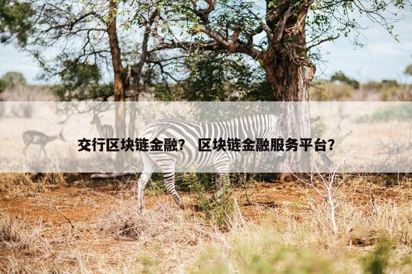 交行区块链金融？ 区块链金融服务平台？