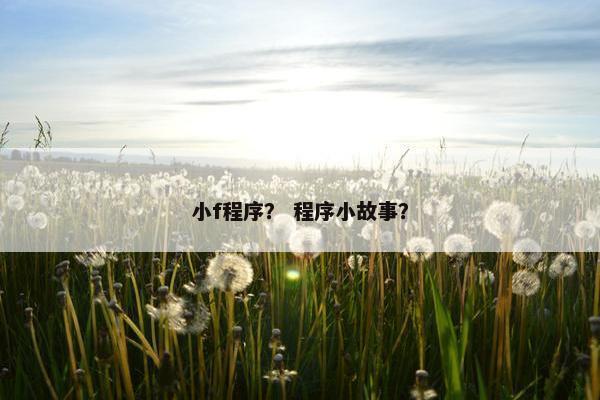 小f程序？ 程序小故事？
