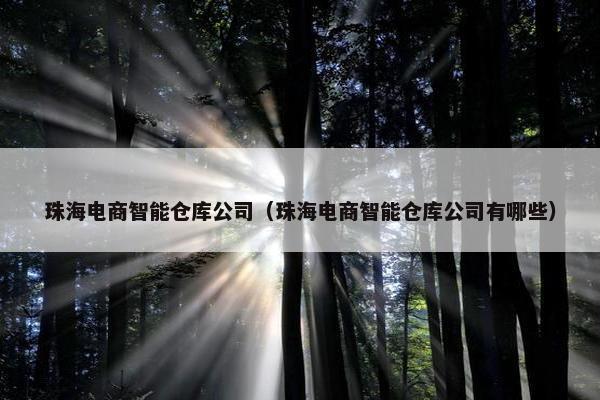 珠海电商智能仓库公司（珠海电商智能仓库公司有哪些）