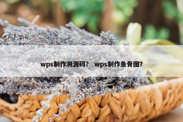 wps制作溯源码？ wps制作鱼骨图？